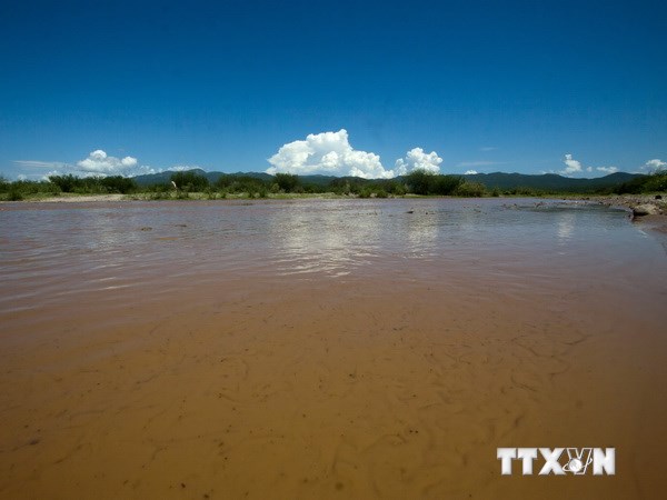 Mexico ban bố báo động sau vụ tràn hóa chất độc hại xuống sông