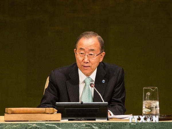 LHQ kêu gọi sớm trồng mới và khôi phục 350 triệu hécta rừng