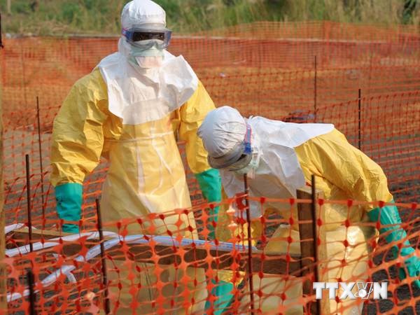 WHO đánh giá nguy cơ lây nhiễm Ebola ở Việt Nam rất thấp