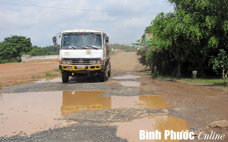 Những nội dung quan trọng trong Nghị quyết số 56/NQ-CP