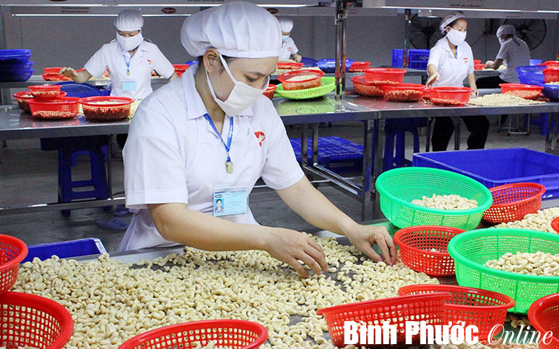 Các đơn vị cần khai thác hết công năng dự án đã hoàn thành