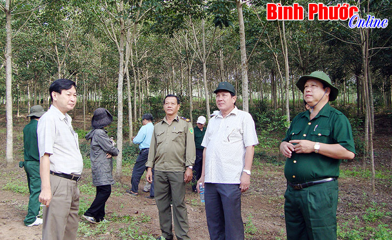 10 th&aacute;ng, Đồng Ph&uacute; thu ng&acirc;n s&aacute;ch 86,773 tỷ đồng