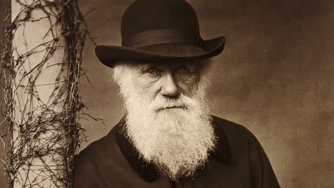 Các nhà khoa học đã tìm ra lời giải cho “thế lưỡng nan của Darwin”?