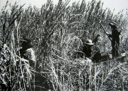 Thắng lợi của chiến dịch tiến c&ocirc;ng tổng hợp chống ph&aacute; b&igrave;nh định ở khu 8, đồng bằng Nam Bộ