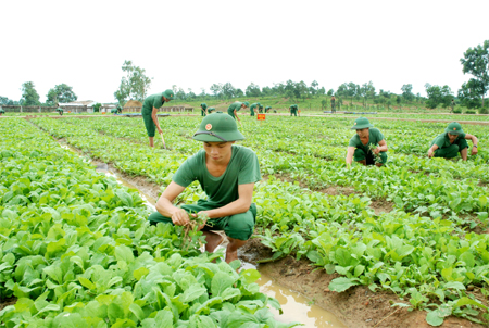 Ph&aacute;t huy thế trận hậu cần nh&acirc;n d&acirc;n, chủ động, s&aacute;ng tạo trong c&ocirc;ng t&aacute;c bảo đảm