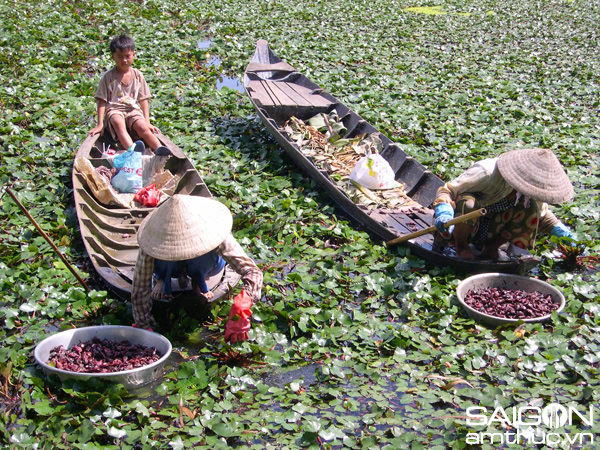 Sắc màu mưu sinh mùa lũ miền Tây