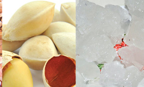 Món ăn bài thuốc cho trẻ bị ho