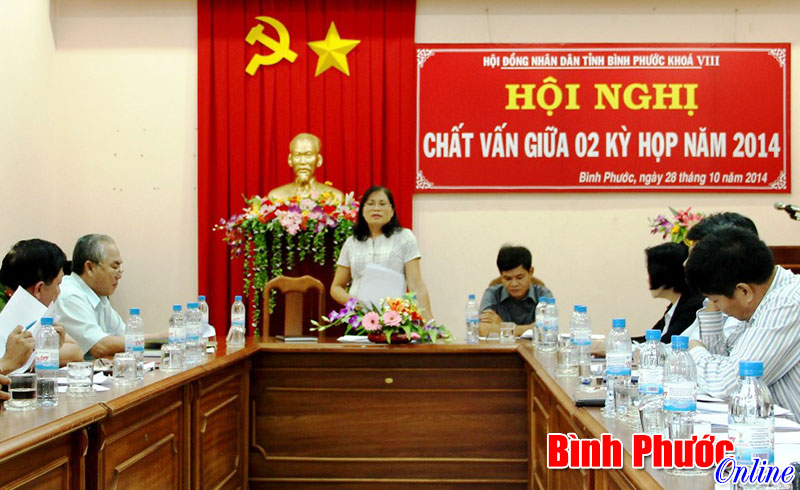 Ban ph&aacute;p chế HĐND th&ocirc;ng qua c&aacute;c dự thảo b&aacute;o c&aacute;o tr&igrave;nh kỳ họp HĐND tỉnh