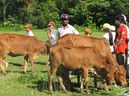 Tăng gấp đôi mức cho vay ưu đãi hộ nghèo