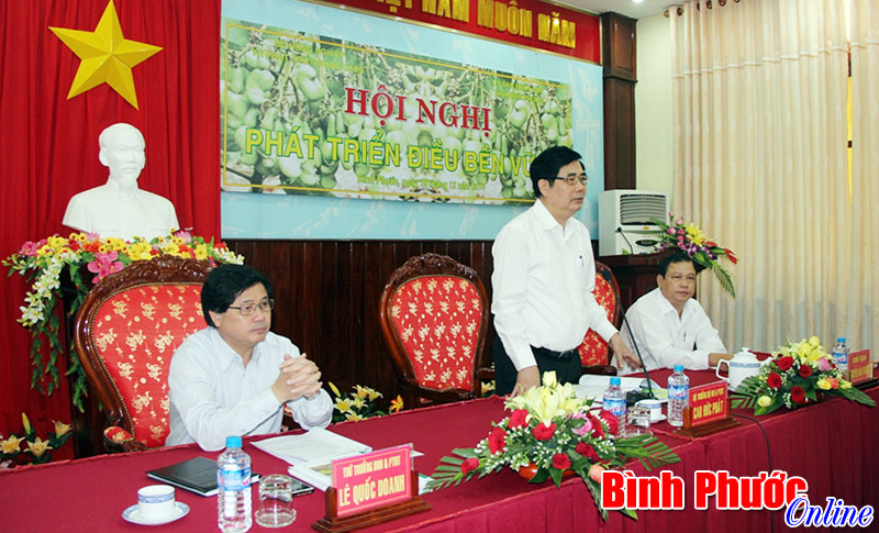 Bộ trưởng Cao Đức Ph&aacute;t: N&ocirc;ng d&acirc;n n&ecirc;n th&acirc;m canh v&agrave; cải tạo vườn điều