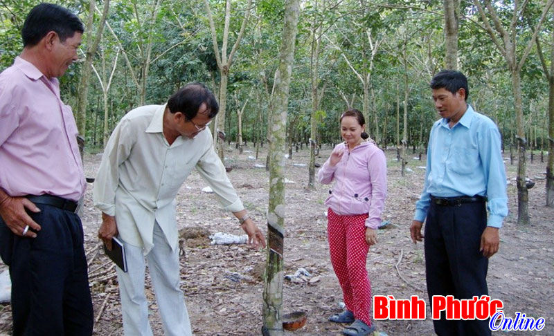 Dự án khu chợ đầu mối - Trung tâm thương mại và khu dân cư Hiếu Cảm: Vẫn phải chờ động thái của chủ đầu tư