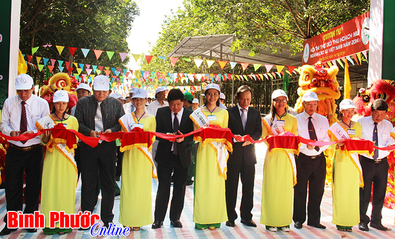 Cao su Phú Riềng đoạt giải nhì toàn đoàn thợ giỏi thu hoạch mủ