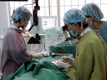 Đột phá mới giúp điều trị chứng liệt bằng cấy ghép tế bào