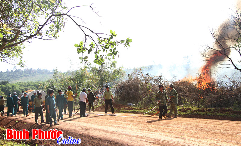 Chủ động phòng chống cháy rừng ở Vườn quốc gia Bù Gia Mập