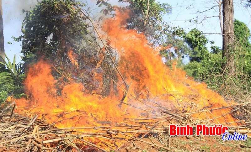 Năm 2015, tập trung quản l&yacute; tốt việc khai th&aacute;c kho&aacute;ng sản