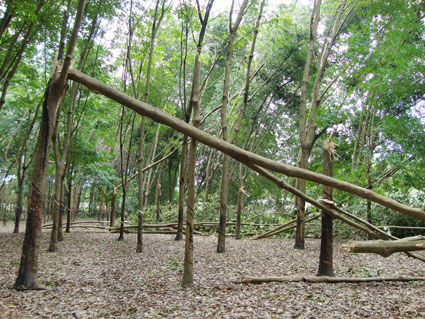 Đ&oacute;ng Quỹ ph&ograve;ng chống thi&ecirc;n tai 1 ng&agrave;y lương