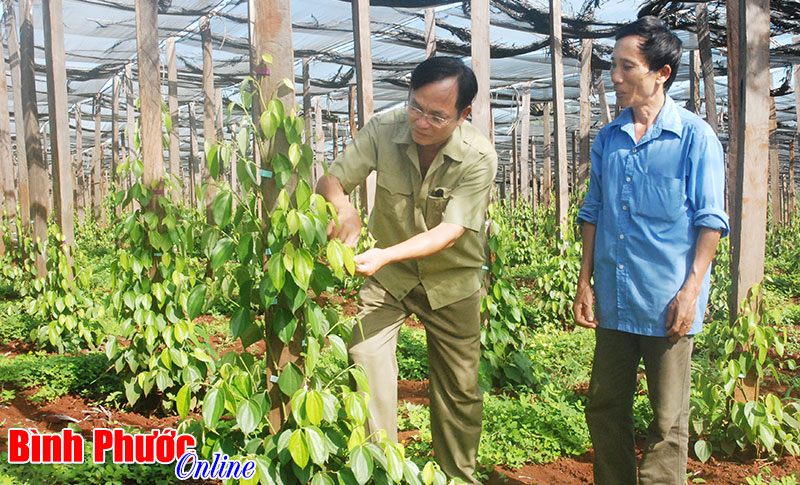 M&aacute;i nh&agrave; ấm t&igrave;nh đồng đội