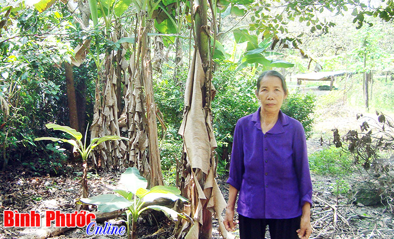 C&oacute; hay kh&ocirc;ng sự v&ocirc; cảm trong thực thi ph&aacute;p luật?