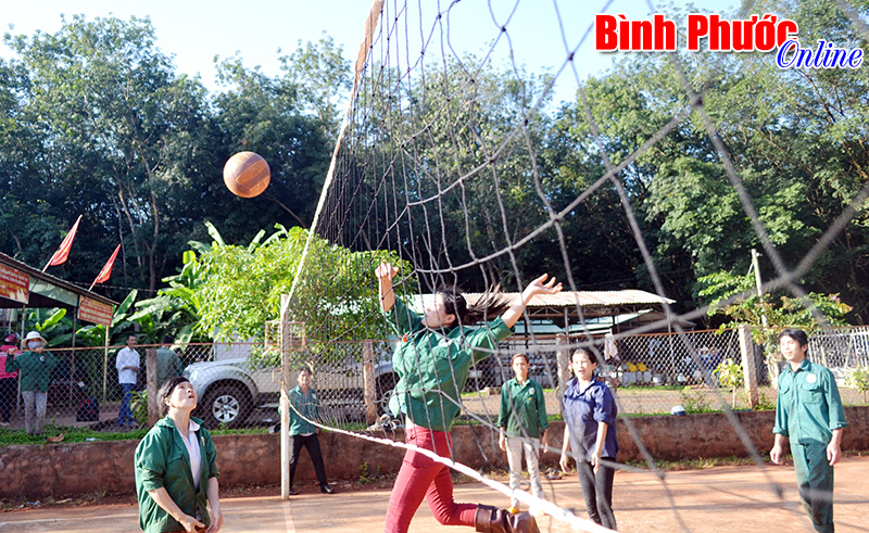 Công ty TNHH MTV Cao su Phú Riềng: Thể dục - thể thao gắn với đời sống, sản xuất