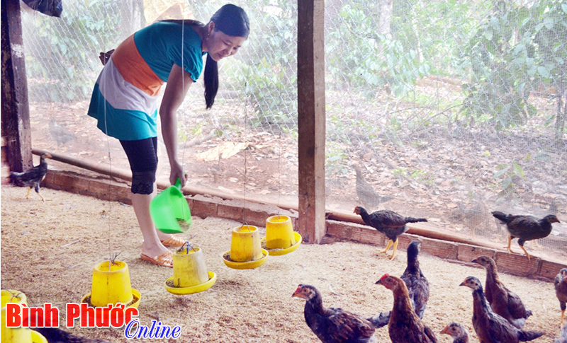 Ít đất vẫn làm giàu