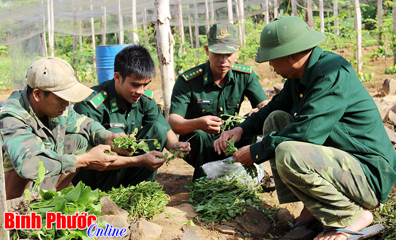 Đồn bi&ecirc;n ph&ograve;ng B&ugrave; Gia Mập - Đơn vị vững mạnh nhiều năm liền