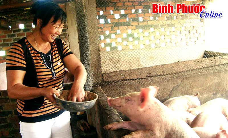 Đồng bào DTTS sống khá nhờ khoa học - kỹ thuật