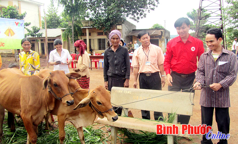 Dự án “Ngân hàng bò”: Cơ hội mới cho hộ nghèo