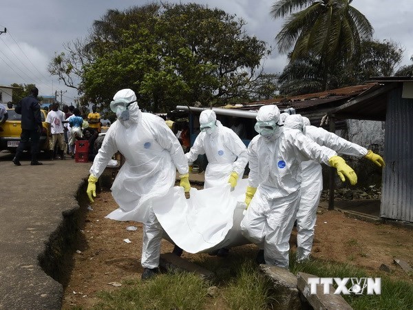 Việt Nam chuẩn bị diễn tập quy mô đối phó với dịch bệnh Ebola