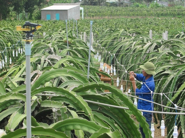 Năm 2014 tiết kiệm 3,01% điện năng thương phẩm