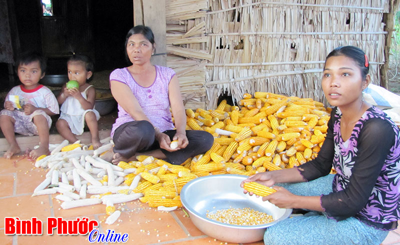 Những điểm mới trong Luật H&ocirc;n nh&acirc;n v&agrave; Gia đ&igrave;nh 2014 - B&agrave;i 6