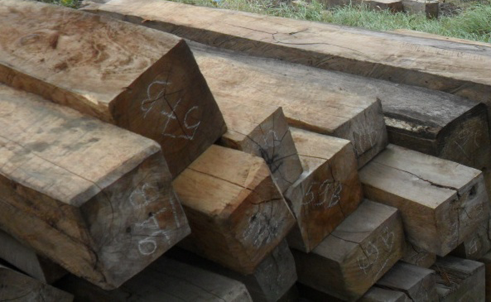 Bộ đội bi&ecirc;n ph&ograve;ng bắt 30m3 gỗ lậu