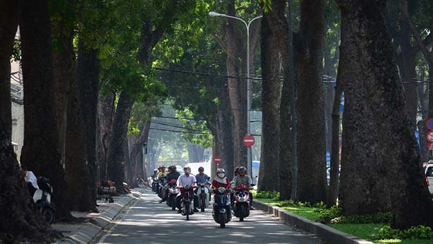Xanh ngát hàng cây trăm tuổi Sài Gòn