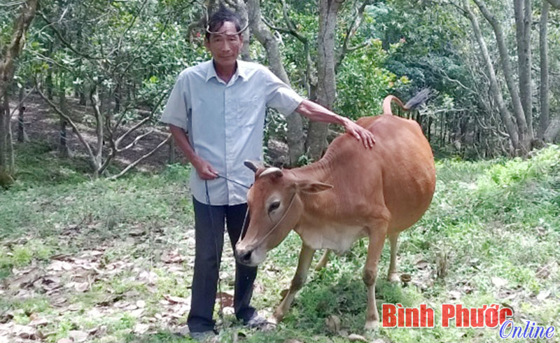 “Phao cứu sinh” của nhiều hoàn cảnh khó khăn