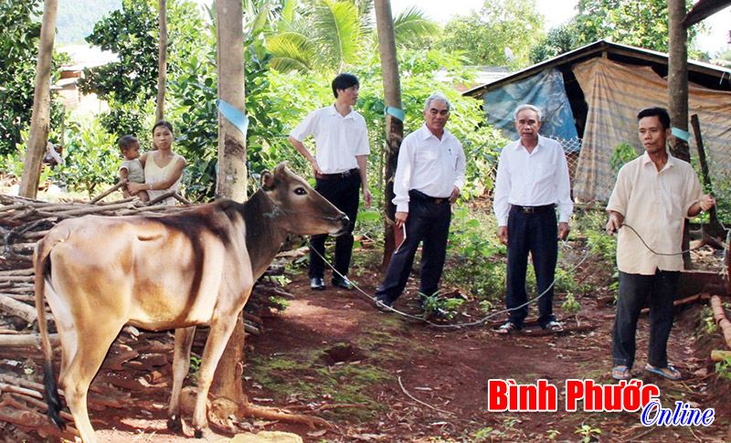 Hội chữ thập đỏ phường Phước Bình chung tay xóa nghèo