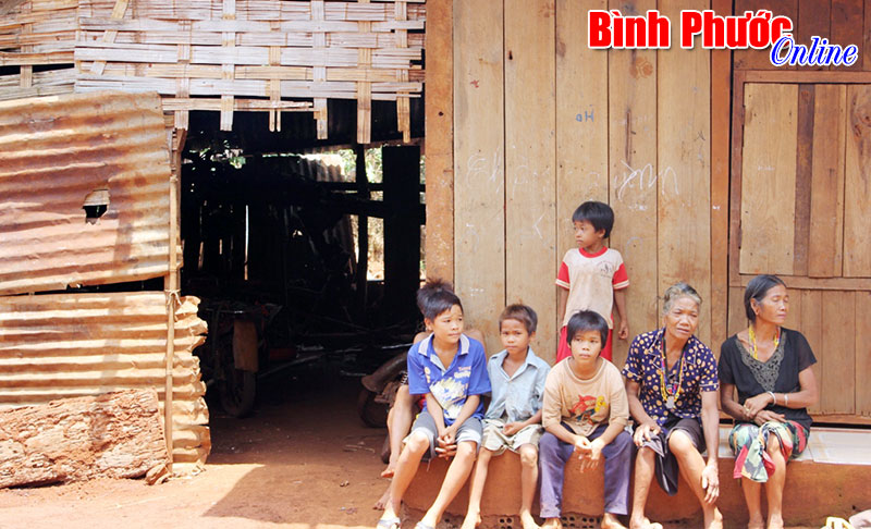 Những quy định mới của Ch&iacute;nh phủ c&oacute; hiệu lực từ 1-1-2015