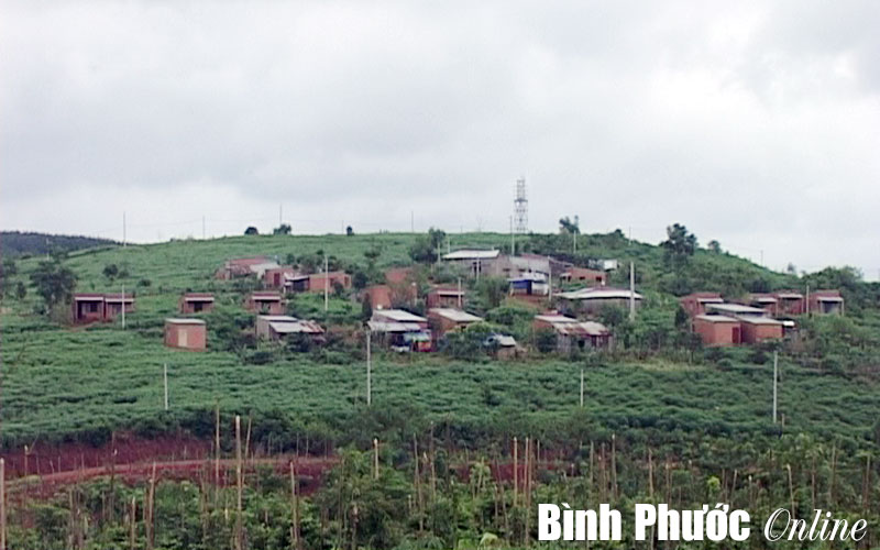 Chính sách hỗ trợ bảo tồn và phát huy giá trị văn hóa của các dân tộc thiểu số