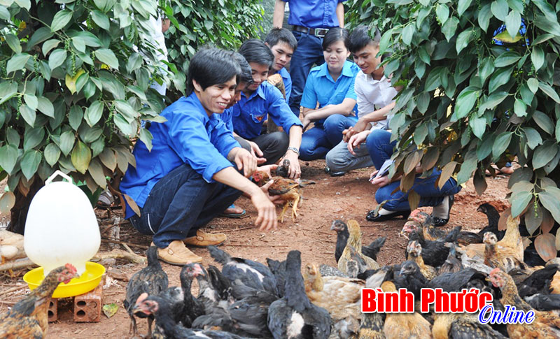 Lá cờ đầu phong trào thanh niên ở Bù Đăng