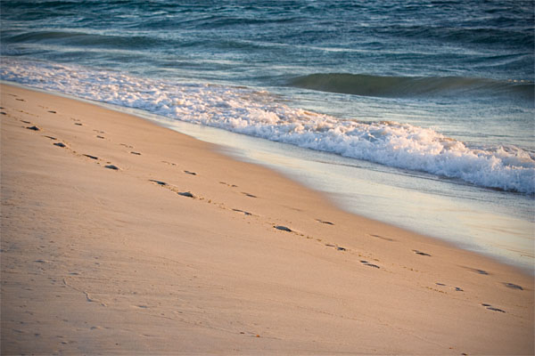 Những ngón chân trần