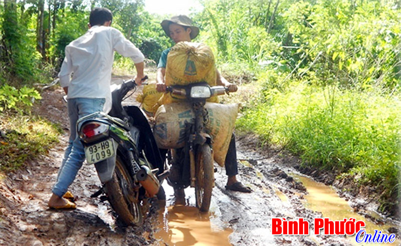 Khổ vì đường và điện