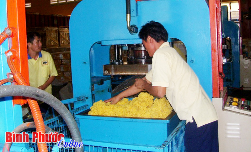 Không bán cao su dưới 1.500 USD/tấn