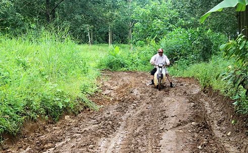 Cấp đất cho hộ bị thu hồi theo Chỉ thị 33-CT/TU tại Bù Gia Mập: Sẽ giải thửa, phân lô đợt 1 trong năm 2014