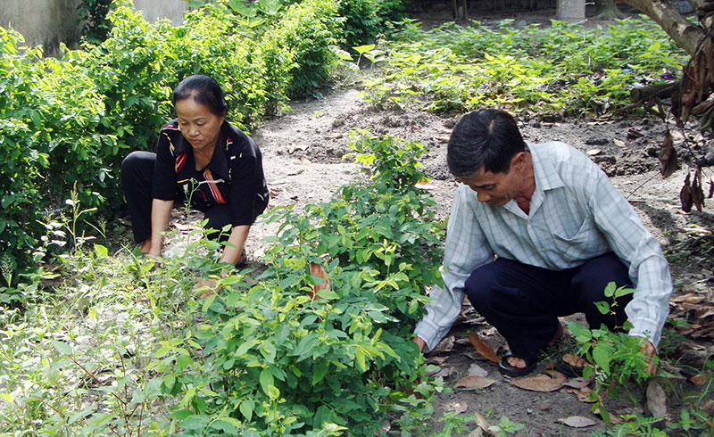 Những điểm mới trong Luật H&ocirc;n nh&acirc;n v&agrave; Gia đ&igrave;nh 2014 - B&agrave;i 5