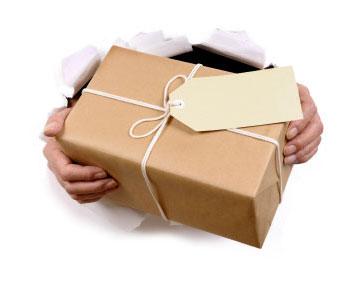 Gửi ma t&uacute;y về nước theo đường chuyển ph&aacute;t nhanh