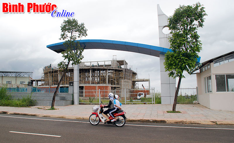 Một vi&ecirc;n chức ở Trung t&acirc;m Văn h&oacute;a tỉnh bị tố sử dụng chứng chỉ giả