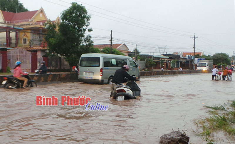 Ấp Thái Dũng ngập trong biển nước
