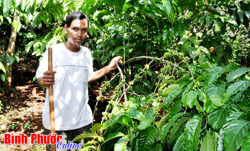 Muốn thoát nghèo phải tự học