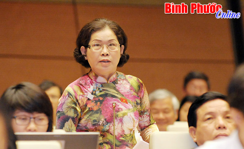 ĐẠI BIỂU PHẠM THỊ MỸ LỆ: Cần quy hoạch n&ocirc;ng nghiệp bền vững, doanh nghiệp kh&oacute; tiếp cận vốn