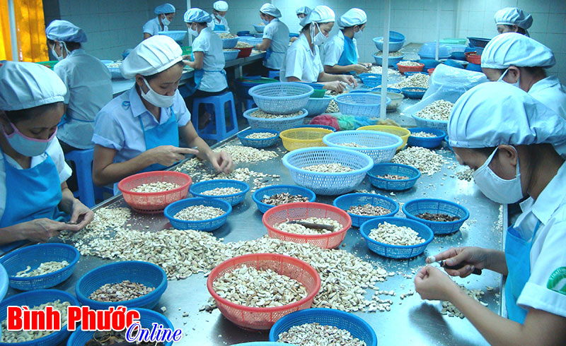 Báo động thực phẩm chế biến không an toàn