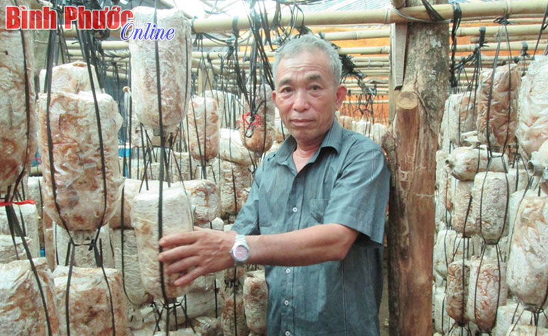 Người bệnh binh b&aacute;m vườn l&agrave;m gi&agrave;u