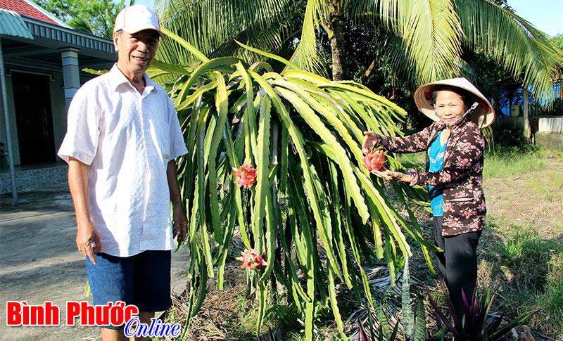 Người cao tuổi xã Tân Lập tham gia xây dựng nông thôn